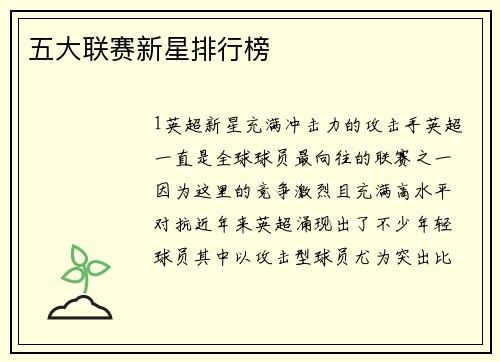 五大联赛新星排行榜